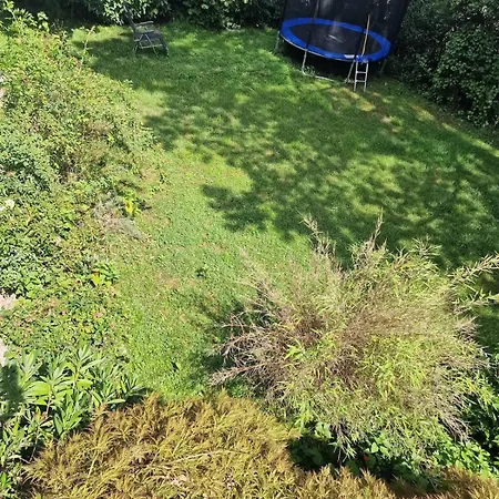 Einzimmer Mit Küche Und Bad Apartment